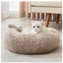 O gatinho curtinho a sua caminha no maior conforto.