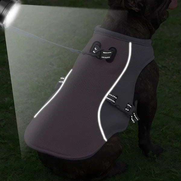 O ajuste permite que o cão de pequeno porte use perfeitametne a Coleira de Peito Térmica Cold Dog ajustada com segurança.