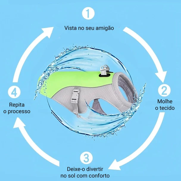 Demonstração da ativação da Coleira Cold Dog com água para efeito refrescante refrescante.