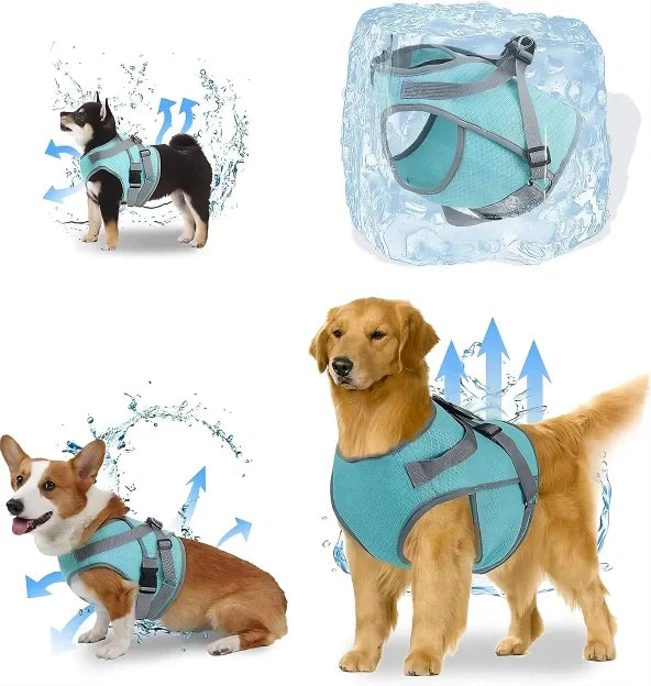 Comparação entre coleiras comuns e a Coleira de Peito Térmica Cold Dog, mostrando a diferença no resfriamento.